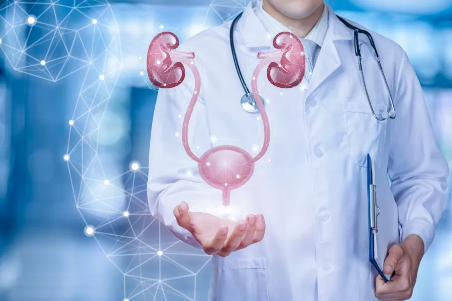 Лечение заболеваний мочеполовой системы в санатории - фотография